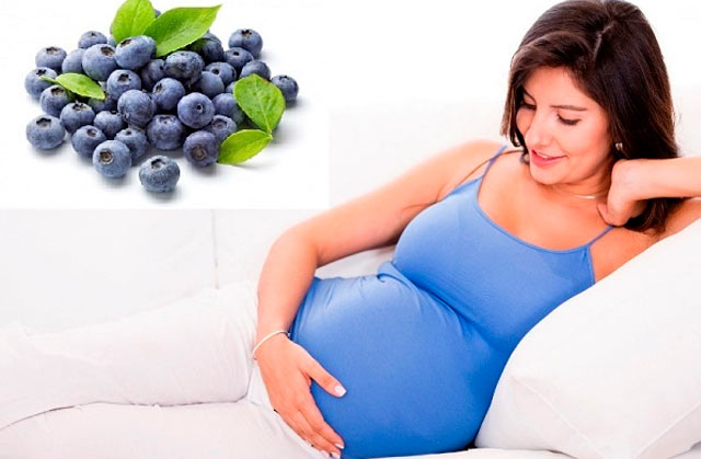 Голубика является не только вкусным лакомством, но еще и источником питательными веществами, которые критически нужны будущей мамочке. 
